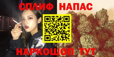 прущие грибы Боровичи