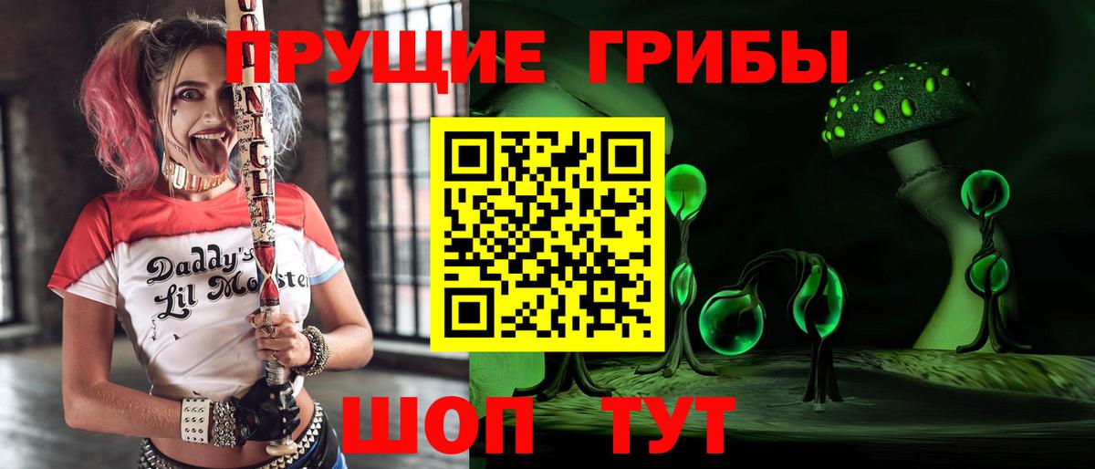Владивосток  Галлюциногенные грибы Psilocybe  Вход с VPN 